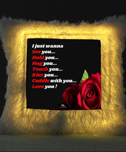 Vickvii Printed I Just Wanna Love You Quot Led Cushion With Filler (38*38CM) | Save 33% - Rajasthan Living