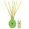 Iris New Lemon Grass Fragances Reed Diffuser Set with Oil 60ml With Ceramic Pot & Diffuser Stick | Save 33% - Rajasthan Living 11