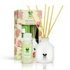 IRIS Reed Diffuser Set Apple Cinnamon 60 ml | Save 33% - Rajasthan Living 18