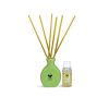Iris New Lemon Grass Fragances Reed Diffuser Set with Oil 60ml With Ceramic Pot & Diffuser Stick | Save 33% - Rajasthan Living 15