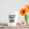 Aj Prints I Am Not Crazy I Am A Limited Edition Funny Quotes Printed Conical Cup Latte Coffee Mug 12oz | Save 33% - Rajasthan Living 11