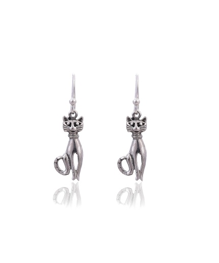 Sterling Silver earring | Save 33% - Rajasthan Living