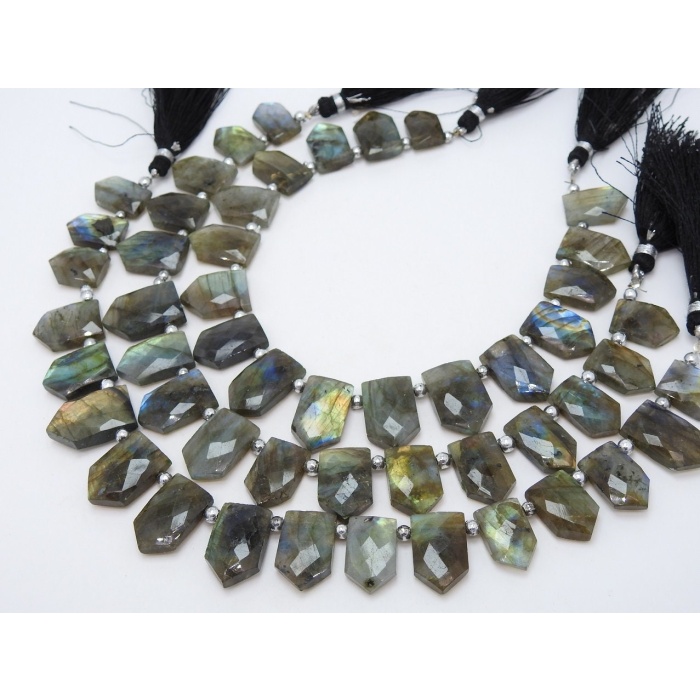 Labradorite Faceted Briolette,Fancy,Pentagon,Hut Shape,Multi Flashy Fire 16Pieces Strand 21X15To14X11MM Approx,Wholesaler,Supplies PME(BR1) | Save 33% - Rajasthan Living 12