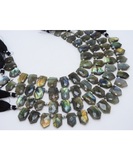 Labradorite Faceted Briolette,Fancy,Pentagon,Hut Shape,Multi Flashy Fire 16Pieces Strand 21X15To14X11MM Approx,Wholesaler,Supplies PME(BR1) | Save 33% - Rajasthan Living