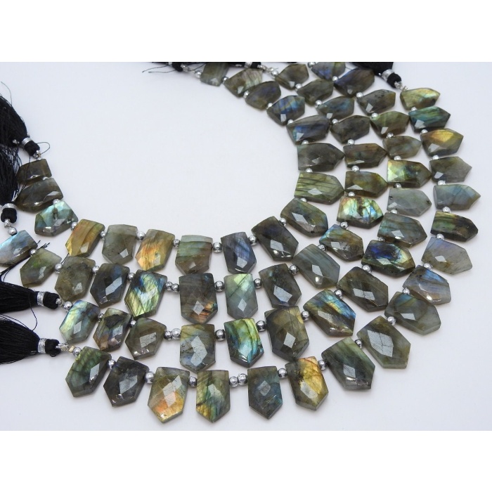 Labradorite Faceted Briolette,Fancy,Pentagon,Hut Shape,Multi Flashy Fire 16Pieces Strand 21X15To14X11MM Approx,Wholesaler,Supplies PME(BR1) | Save 33% - Rajasthan Living 6