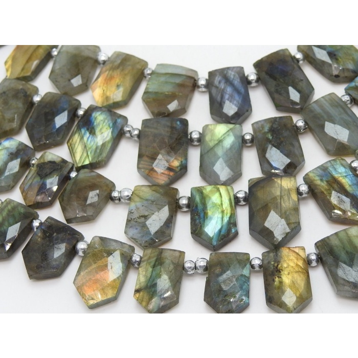 Labradorite Faceted Briolette,Fancy,Pentagon,Hut Shape,Multi Flashy Fire 16Pieces Strand 21X15To14X11MM Approx,Wholesaler,Supplies PME(BR1) | Save 33% - Rajasthan Living 9