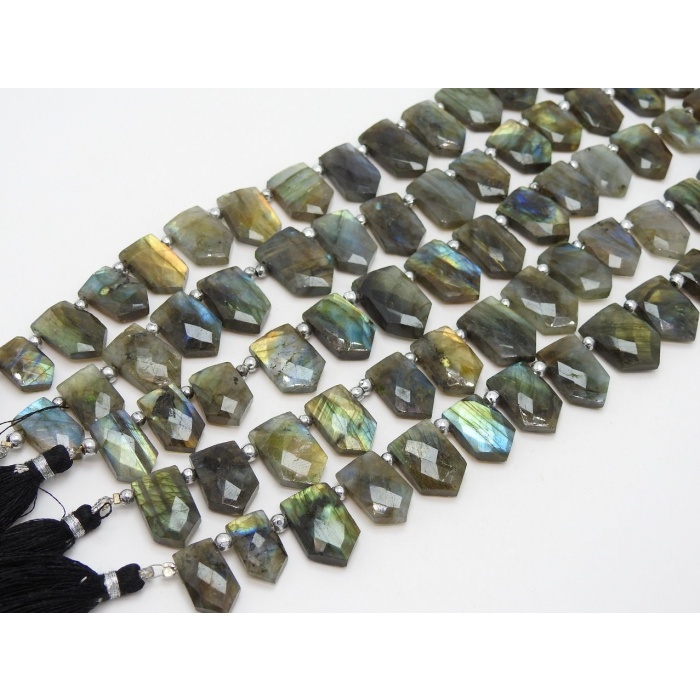 Labradorite Faceted Briolette,Fancy,Pentagon,Hut Shape,Multi Flashy Fire 16Pieces Strand 21X15To14X11MM Approx,Wholesaler,Supplies PME(BR1) | Save 33% - Rajasthan Living 11