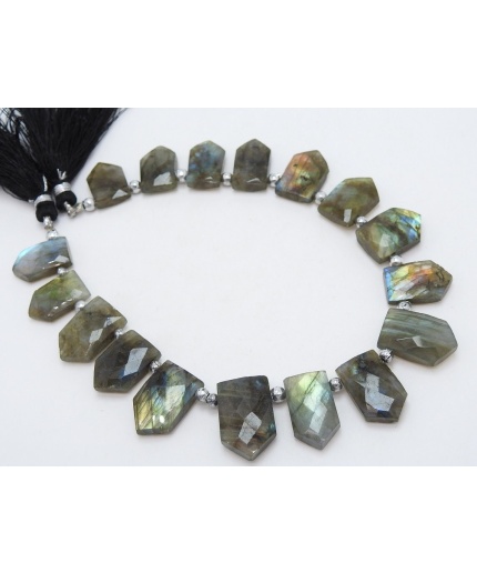Labradorite Faceted Briolette,Fancy,Pentagon,Hut Shape,Multi Flashy Fire 16Pieces Strand 21X15To14X11MM Approx,Wholesaler,Supplies PME(BR1) | Save 33% - Rajasthan Living 3