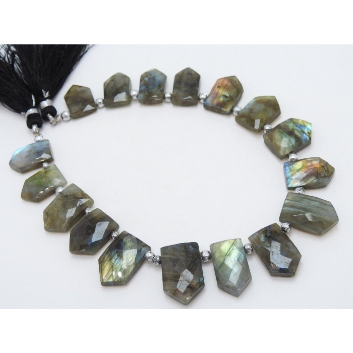 Labradorite Faceted Briolette,Fancy,Pentagon,Hut Shape,Multi Flashy Fire 16Pieces Strand 21X15To14X11MM Approx,Wholesaler,Supplies PME(BR1) | Save 33% - Rajasthan Living 7