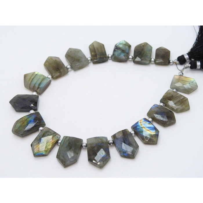 Labradorite Faceted Briolette,Fancy,Pentagon,Hut Shape,Multi Flashy Fire 16Pieces Strand 21X15To14X11MM Approx,Wholesaler,Supplies PME(BR1) | Save 33% - Rajasthan Living 10