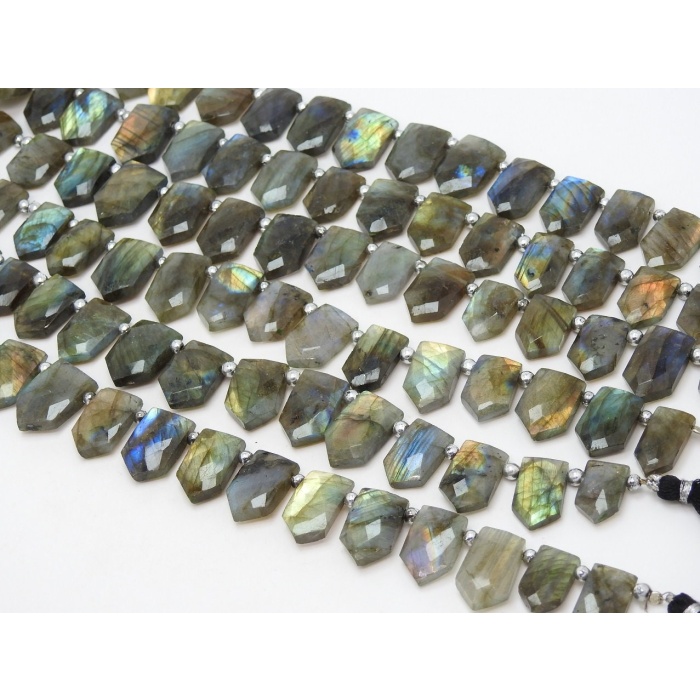 Labradorite Faceted Briolette,Fancy,Pentagon,Hut Shape,Multi Flashy Fire 16Pieces Strand 21X15To14X11MM Approx,Wholesaler,Supplies PME(BR1) | Save 33% - Rajasthan Living 8
