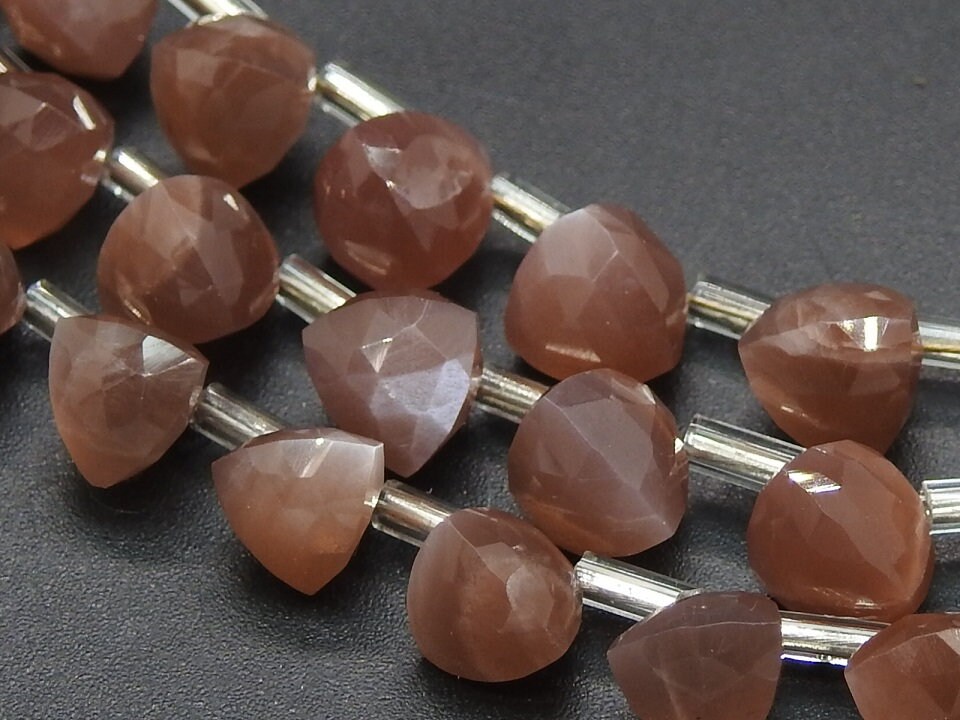 Natural Moonstone Trillions,Triangle,Teardrop,Drop,Peach,Briolettes 10Piece Strand 7X7To6X6MM Approx Wholesale Price New Arrival (pme) BR2 | Save 33% - Rajasthan Living 14
