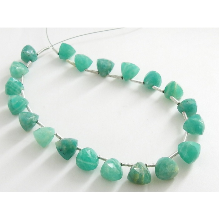 Amazonite Micro Faceted Trillions,Briolette,Loose Stone,Handmade 100%Natural 20Piece Strand 8X8 To 7X7 MM Approx (pme)BR2 | Save 33% - Rajasthan Living 8