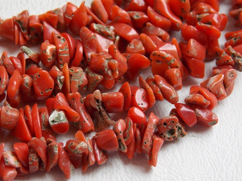 Natural Red Coral Rough Bead,Anklet,Chip,Uncut,Loose Raw Bead,Nugget,For Making Jewelry,Minerals Gemstone,Wholesaler,Supplies 16Inch CR-1 | Save 33% - Rajasthan Living 16